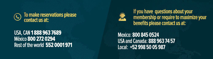 CONCIERGE_NEWS_INGLES_BEYOND